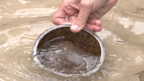 Gold panning pour out Stock Footage
