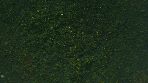 Gold Particles Vídeos de archivo 169173268