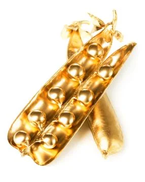 Gold pea pod Stock Photos