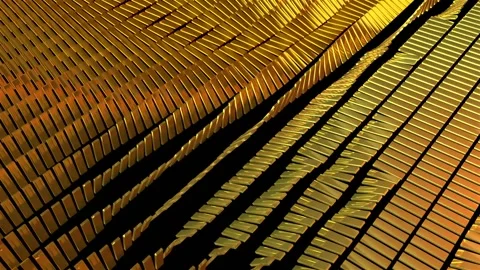 Gold plates swirl in the wind. 3d background. Looped animation. Stock-Footage 149078161