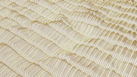 Gold Plexus Stock-Footage 143611583