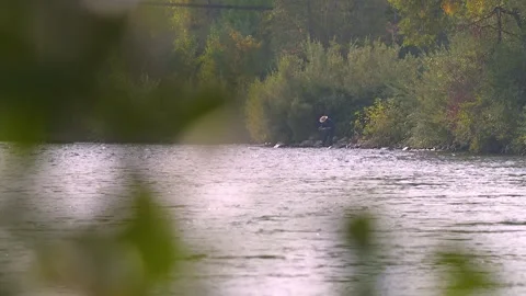 Gold prospector Stock Footage 317349151