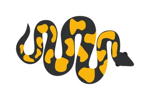 Gold python reticulated albino boa constrictor wildlife nature snake vector Stock Illustration