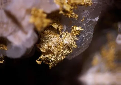 Gold in Quartz Stock Photos