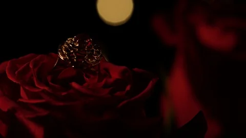 Gold ring and roses on a black background. Valentine's Day Stock Footage 101353200