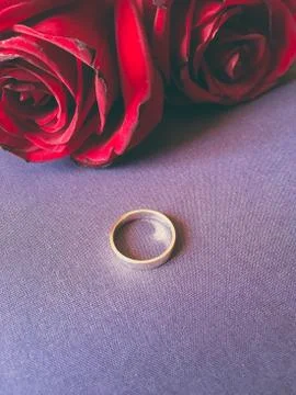 Gold ring and two rose on the violet purple floor Stock Photos