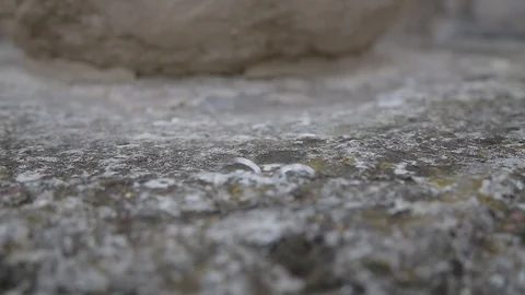 Gold ring lie on the stone surface in sunny day Видео 123896899