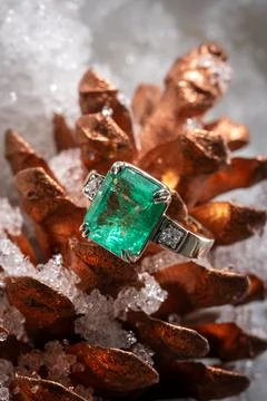 Gold ring  Stock Photos