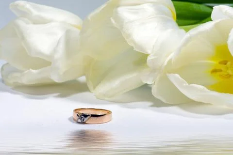 Gold ring with tulip Stock Photos