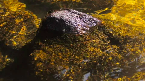 Gold river soft movement on margin rocks Stock Footage 57468664