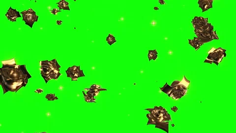 Gold rose particle loop animation green screen Stock Footage 168338936