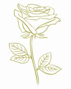 Gold rose, vector. A simple illustration with a blossoming flower. Stock Illustration