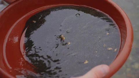 Gold rush,gold mining gold mining digger outdoor Stock Footage 234387199