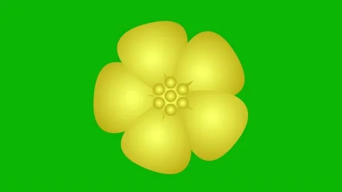 Gold sakura green Stock Footage 239368435