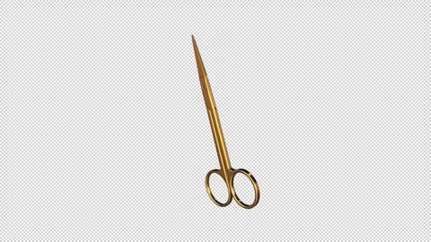 Gold Scissors with Offset Circular Handles Stock Footage 308229121
