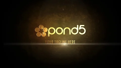 Gold Silver Logo 库存 After Effects