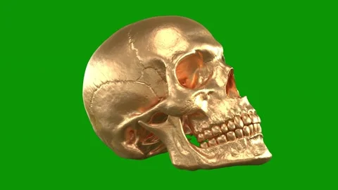 Gold skull green screen silver animated chromakey background style emotion Stock Footage 314067543