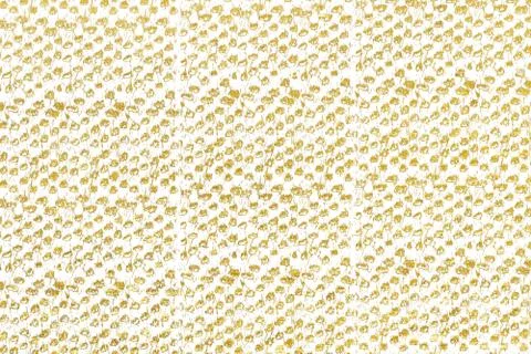 Gold splashes Texture. Brush stroke design element. Gold watercolor textures  Stock Photos