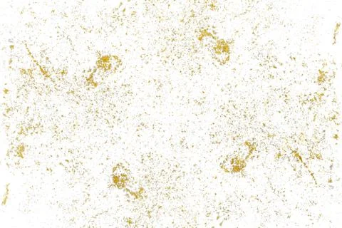 Gold splashes Texture. Brush stroke design element. Grunge golden background  Stock Photos