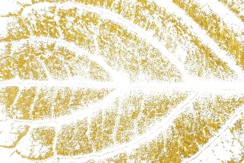 Gold splashes Texture. Brush stroke design element. Gold watercolor textures  Stock Photos