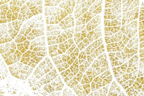 Gold splashes Texture. Brush stroke design element. Gold watercolor textures  Stock Photos