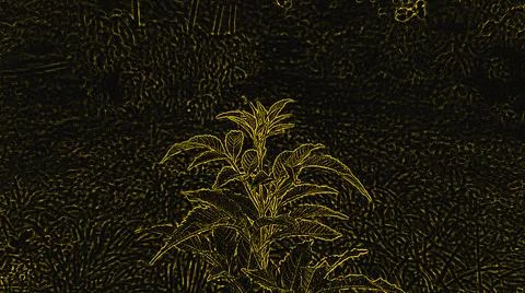 Gold texture graphics for background 스톡 일러스트