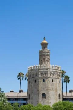 Gold tower within palmtrees Фото