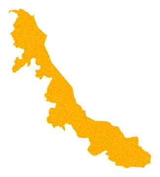 Gold Vector Map of Veracruz State Illustration