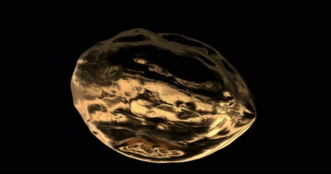 Gold walnut in it shells Stock Footage 155942098