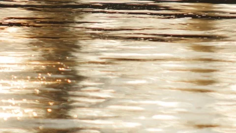 Gold Water  Stock Footage 87604740