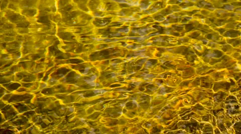 Gold water river surface wind patterns Stock Footage 57456467