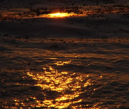 Gold Waves 1 库存影片 60829113