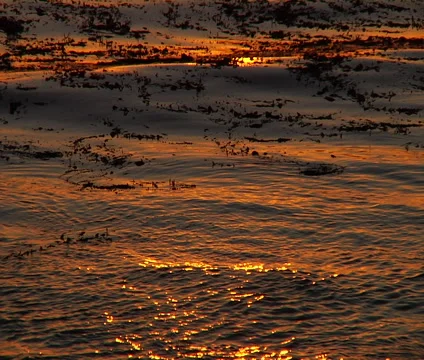 Gold Waves 2 Stock Footage