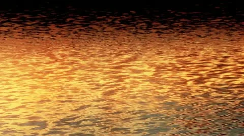 Gold waves lake Stock Footage 12161150