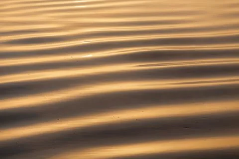 Gold waves texture Stock Photos