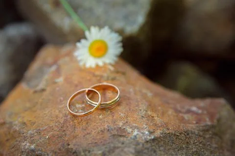 Gold wedding rings on the big orangestone. Stock Photos