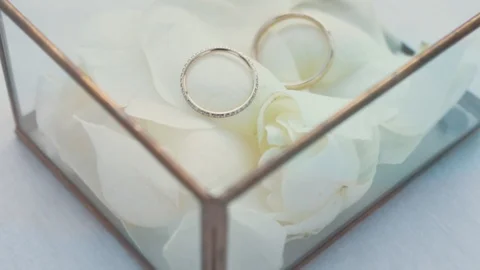 Gold Wedding Rings Stock-Footage 106556343