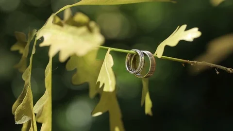 Gold Wedding Rings macro closeup shoot diamon Jewellery Видео 93722038