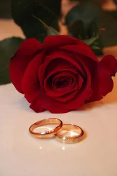 Gold wedding rings 스톡 사진
