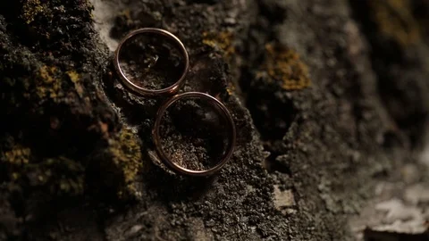 Gold Wedding Rings on the tree macro closeup shoot diamon Jewellery Stock Footage 93717074
