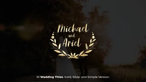 Gold Wedding TItles Stock After Effects