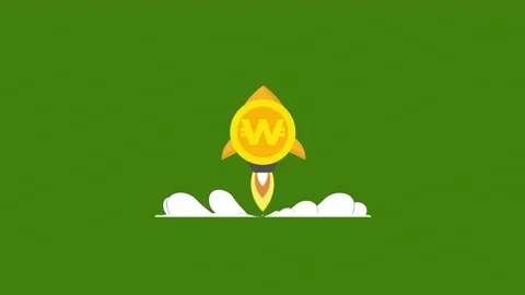 Gold won coin rocket animation Stock Footage 201508297