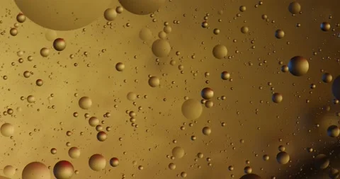 Gold4 스톡 동영상 130848194