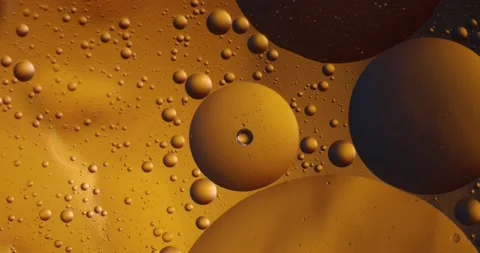 Gold6 스톡 동영상 130851355