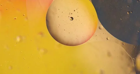 Gold8 스톡 동영상 130851311