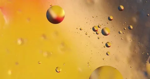 Gold9 스톡 동영상 130852014