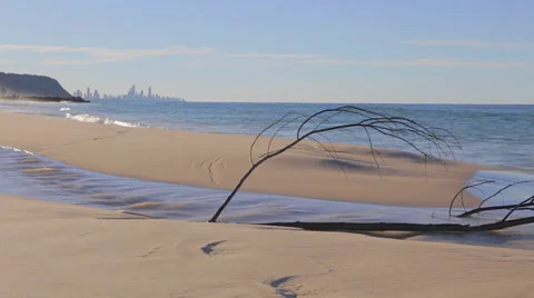 Goldcoast - low angle view of the skyline and a seagull walking along beach Stock Footage 37056101