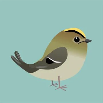 A goldcrest comic illustration イラスト素材