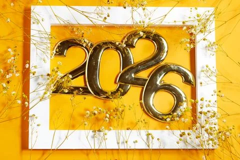 Golden 2026 Numerals in a Frame Surrounded by yellow gypsophila  Flowers Stock Photos