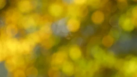 Golden Abstract Background Stock Footage 84772760